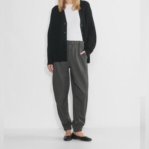Aritzia Wilfred Eugene Jogger